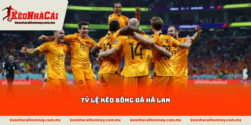 Tỷ lệ kèo bóng đá Hà Lan